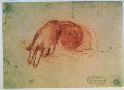 Studio di una mano da Leonardo da Vinci